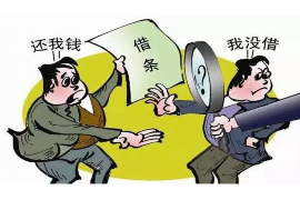 和布克赛尔为什么选择专业追讨公司来处理您的债务纠纷？